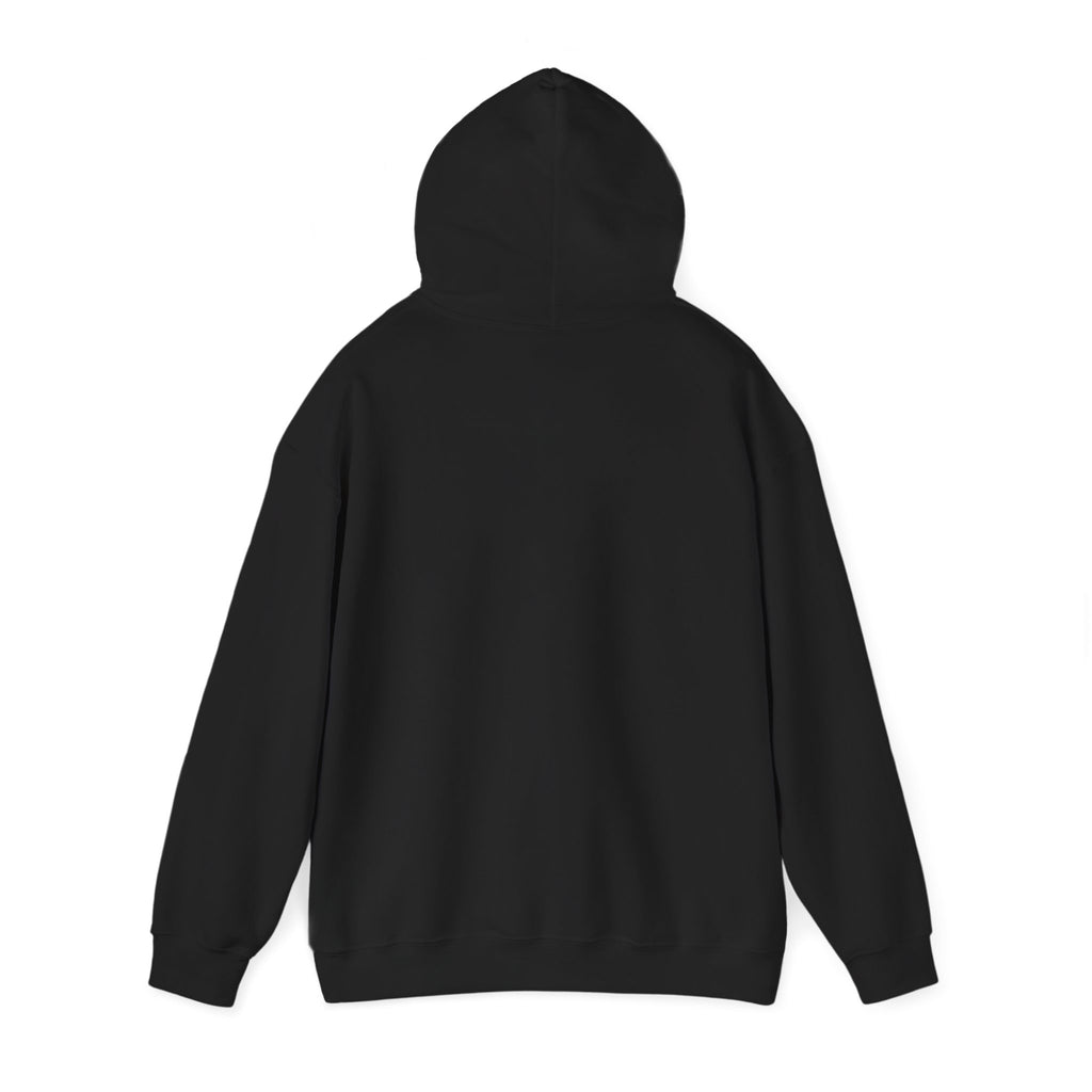 Aviation Traveler Hoodie – Silhouette Walking Toward Plane Graphic Hoodie